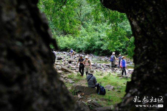 以色列被上“紧箍咒”！国际法院出手，这给美国出了一道难题